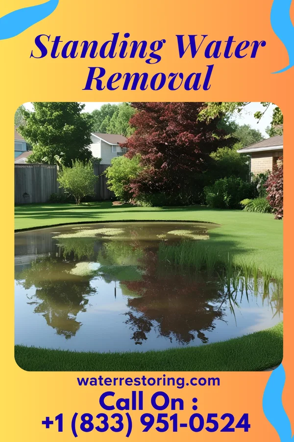 Standing Water Removal in Keensburg, IL